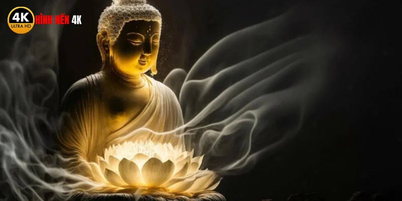 Lý do nên chọn làm hình nền